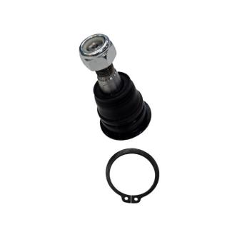 Rotule de suspension CTR OEM 401602Y000 Rotule de suspension CTR OEM 401602Y000