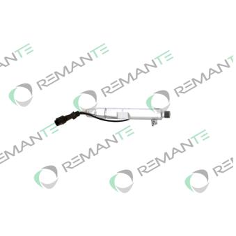 Injecteur REMANTE [002-003-002431R]