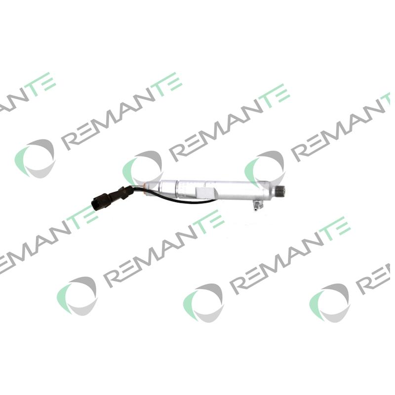 Injecteur REMANTE 002-003-002431R - Visuel 1