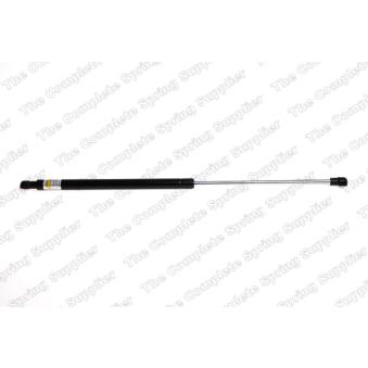 Vérin de hayon, de coffre KILEN 450028 pour KIA CARNIVAL 1.9 DCI - 110cv