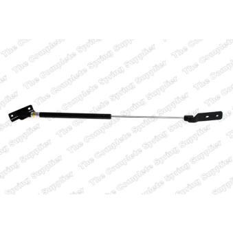 Vérin de hayon, de coffre arrière gauche KILEN 462010