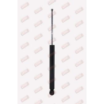 Jeu de 2 amortisseurs arrière LTM C22539 pour RENAULT EXPRESS 1.6 - 110cv