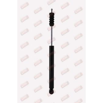 Jeu de 2 amortisseurs arrière LTM C22567 pour DAEWOO EVANDA 1.25 - 75cv