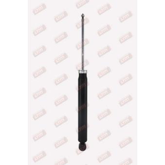 Jeu de 2 amortisseurs arrière LTM OEM 5206EW