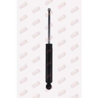 Jeu de 2 amortisseurs arrière LTM C24015