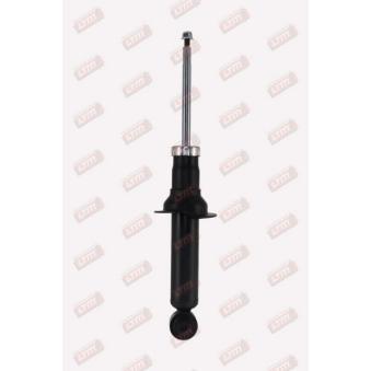 Jeu de 2 amortisseurs arrière LTM [C26159]