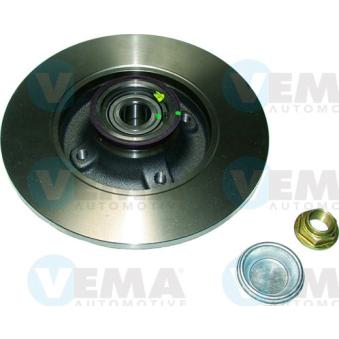 Jeu de 2 disques de frein arrière VEMA OEM 4246Z9