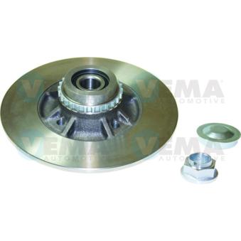 Jeu de 2 disques de frein arrière VEMA OEM 7701207611