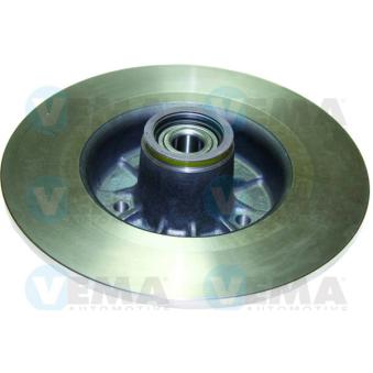 Jeu de 2 disques de frein arrière VEMA OEM 8200266043