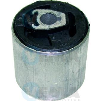 Silent bloc de l'essieu / berceau VEMA OEM 31120006482