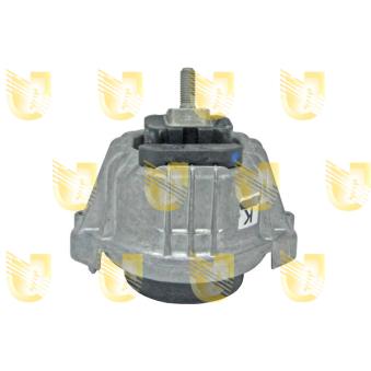 Support moteur avant droit UNIGOM OEM 22116768852