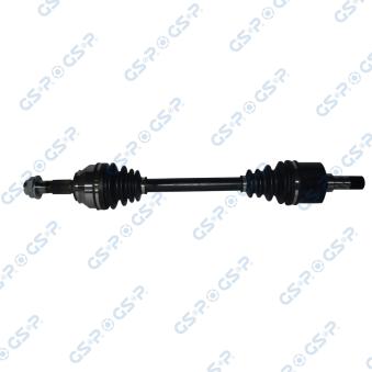 Arbre de transmission GSP [217231]