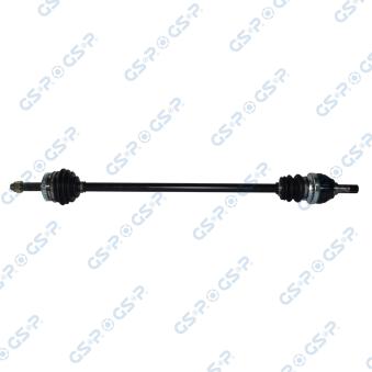 Arbre de transmission GSP [244077]