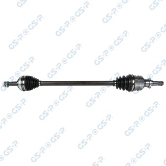 Arbre de transmission GSP [259195]