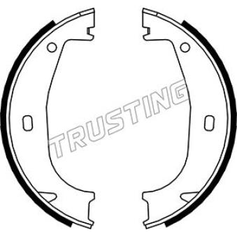 Jeu de mâchoires de frein, frein de stationnement TRUSTING OEM 34411160924