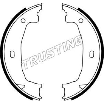 Jeu de mâchoires de frein, frein de stationnement TRUSTING OEM 34416761290