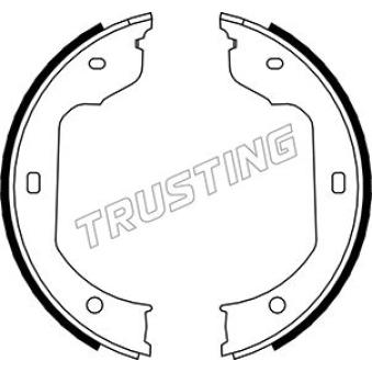 Jeu de mâchoires de frein, frein de stationnement TRUSTING OEM 34411165962