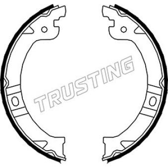 Jeu de mâchoires de frein, frein de stationnement TRUSTING OEM 04882576