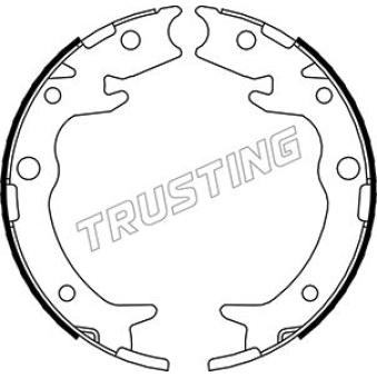 Jeu de mâchoires de frein, frein de stationnement TRUSTING OEM 43154S47N01