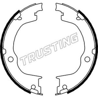 Jeu de mâchoires de frein, frein de stationnement TRUSTING OEM 4804801