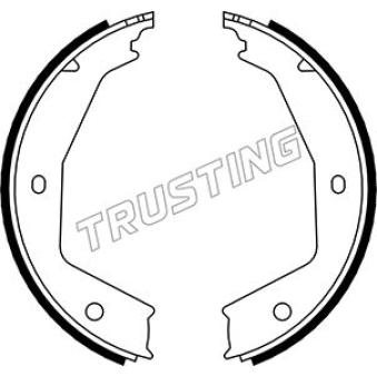 Jeu de mâchoires de frein, frein de stationnement TRUSTING OEM 9566926980