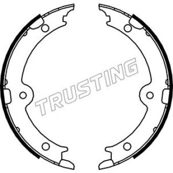 Jeu de mâchoires de frein, frein de stationnement TRUSTING 115.321