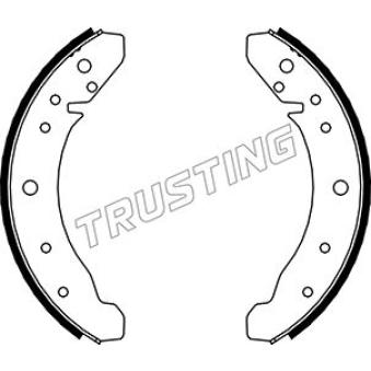 Jeu de mâchoires de frein TRUSTING [124.242]