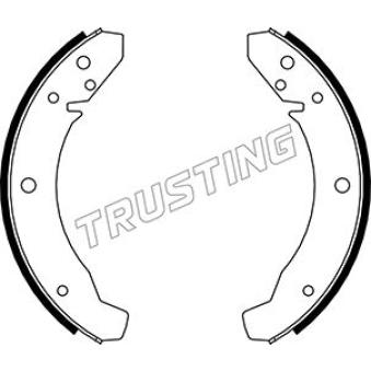 Jeu de mâchoires de frein TRUSTING OEM 113609237