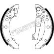 TRUSTING 124.280 - Jeu de mâchoires de frein