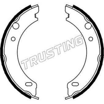Jeu de mâchoires de frein, frein de stationnement TRUSTING OEM 31262621