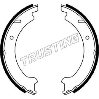 Jeu de mâchoires de frein, frein de stationnement TRUSTING OEM 2722882