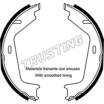Jeu de mâchoires de frein, frein de stationnement TRUSTING OEM 31262874