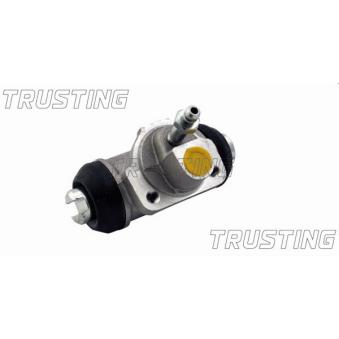 Cylindre de roue TRUSTING OEM 4410086G10 Cylindre de roue TRUSTING OEM 4410086G10