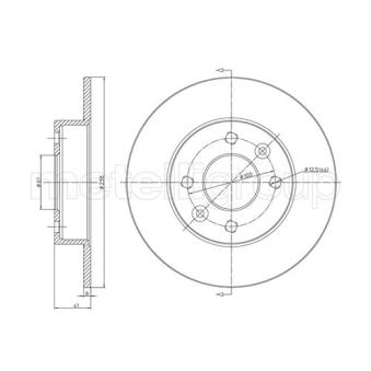 Jeu de 2 disques de frein avant TRUSTING OEM 7701204285