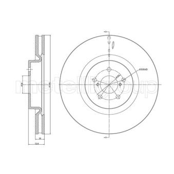 Jeu de 2 disques de frein avant TRUSTING OEM 26300FE000