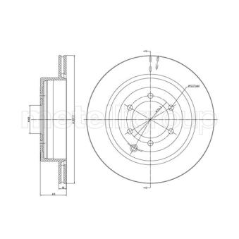 Jeu de 2 disques de frein arrière TRUSTING OEM 43206EB300