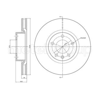 Jeu de 2 disques de frein avant TRUSTING OEM 569016