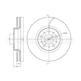 Jeu de 2 disques de frein avant TRUSTING OEM 31262707