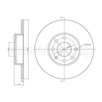 Jeu de 2 disques de frein avant TRUSTING OEM 569058
