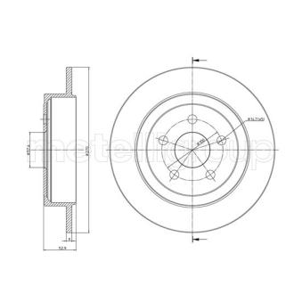 Jeu de 2 disques de frein arrière TRUSTING OEM 4509553AC