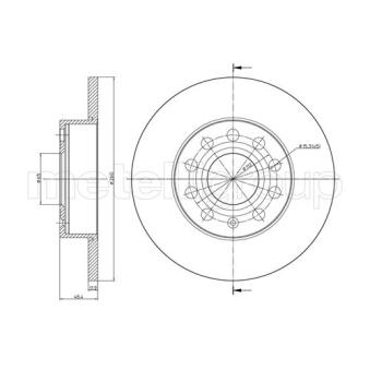 Jeu de 2 disques de frein arrière TRUSTING OEM 1K0615601AC