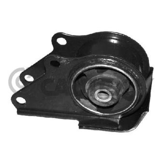 Suspension, boîte de vitesse manuelle CAUTEX OEM 4456819