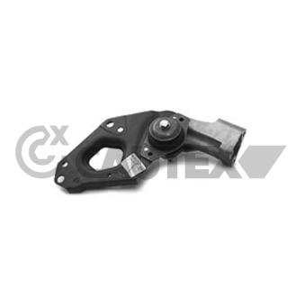 Support moteur CAUTEX OEM 46432186 Support moteur CAUTEX OEM 46432186