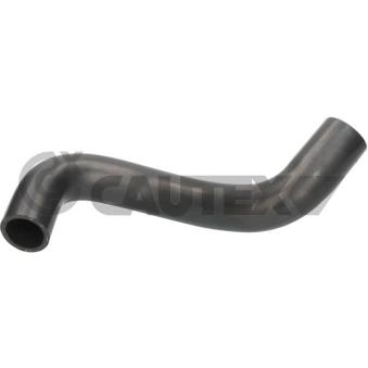 Durite de radiateur CAUTEX 016174
