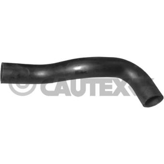 Durite de radiateur CAUTEX 016202