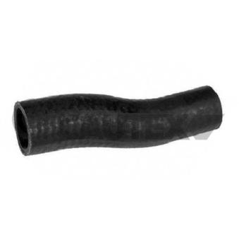 Durite de radiateur CAUTEX 016335