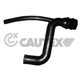 Tuyau, ventilation de carter-moteur CAUTEX 016766