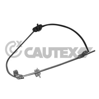 Lève-vitre avant droit CAUTEX 017033