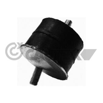 Support moteur avant droit CAUTEX OEM 7704000767