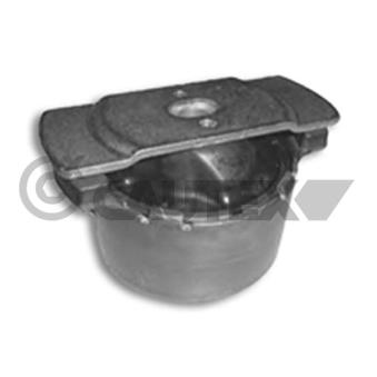 Suspension, corps de l'essieu arrière gauche CAUTEX OEM 8200597258
